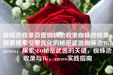 蜘蛛池收录百度蜘蛛池收录蜘蛛池收录，探索搜索引擎优化的秘密武器蜘蛛池TG：zzcseo，探索SEO秘密武器的关键，蜘蛛池收录与TG，zzcseo实践指南