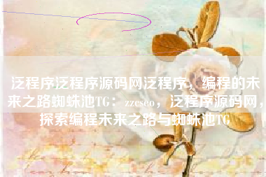 泛程序泛程序源码网泛程序，编程的未来之路蜘蛛池TG：zzcseo，泛程序源码网，探索编程未来之路与蜘蛛池TG