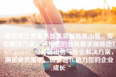 服务器出售服务器售卖服务器出售，专业解决方案，满足您的业务需求蜘蛛池TG：zzcseo，服务器出售与专业解决方案，满足业务需求，蜘蛛池TG助力您的企业成长