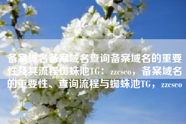 备案域名备案域名查询备案域名的重要性及其流程蜘蛛池TG：zzcseo，备案域名的重要性、查询流程与蜘蛛池TG，zzcseo