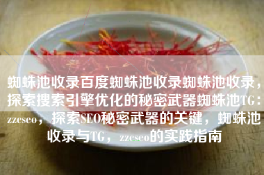 蜘蛛池收录百度蜘蛛池收录蜘蛛池收录，探索搜索引擎优化的秘密武器蜘蛛池TG：zzcseo，探索SEO秘密武器的关键，蜘蛛池收录与TG，zzcseo的实践指南