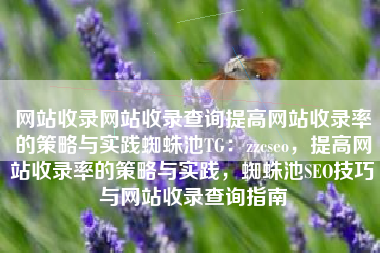 网站收录网站收录查询提高网站收录率的策略与实践蜘蛛池TG：zzcseo，提高网站收录率的策略与实践，蜘蛛池SEO技巧与网站收录查询指南