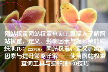 网站权重网站权重查询工具深入了解网站权重，定义、影响因素与提升策略蜘蛛池TG：zzcseo，网站权重，定义、影响因素与提升策略详解——使用网站权重查询工具与蜘蛛池SEO技巧