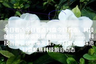 今日看点今日看点扫盘今日看点，科技创新引领未来发展蜘蛛池TG：zzcseo，科技创新引领未来发展，今日看点蜘蛛池扫盘聚焦科技前沿动态