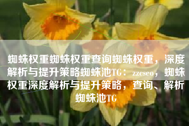 蜘蛛权重蜘蛛权重查询蜘蛛权重，深度解析与提升策略蜘蛛池TG：zzcseo，蜘蛛权重深度解析与提升策略，查询、解析蜘蛛池TG