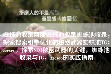 蜘蛛池收录百度蜘蛛池收录蜘蛛池收录，探索搜索引擎优化的秘密武器蜘蛛池TG：zzcseo，探索SEO秘密武器的关键，蜘蛛池收录与TG，zzcseo的实践指南