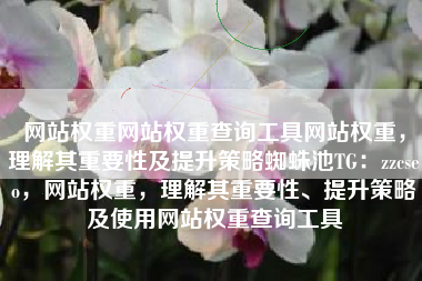 网站权重网站权重查询工具网站权重，理解其重要性及提升策略蜘蛛池TG：zzcseo，网站权重，理解其重要性、提升策略及使用网站权重查询工具