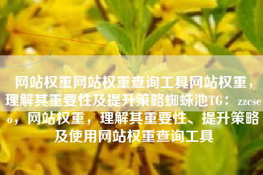 网站权重网站权重查询工具网站权重，理解其重要性及提升策略蜘蛛池TG：zzcseo，网站权重，理解其重要性、提升策略及使用网站权重查询工具