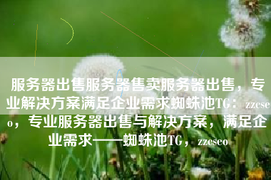 服务器出售服务器售卖服务器出售，专业解决方案满足企业需求蜘蛛池TG：zzcseo，专业服务器出售与解决方案，满足企业需求——蜘蛛池TG，zzcseo