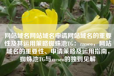 网站域名网站域名申请网站域名的重要性及其运用策略蜘蛛池TG：zzcseo，网站域名的重要性、申请策略及运用指南，蜘蛛池TG与zzcseo的独到见解