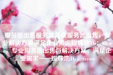 服务器出售服务器售卖服务器出售，专业解决方案满足企业需求蜘蛛池TG：zzcseo，专业服务器出售与解决方案，满足企业需求——蜘蛛池TG，zzcseo