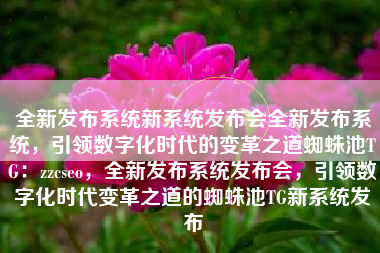 全新发布系统新系统发布会全新发布系统，引领数字化时代的变革之道蜘蛛池TG：zzcseo，全新发布系统发布会，引领数字化时代变革之道的蜘蛛池TG新系统发布