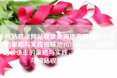 网站收录网站收录查询提高网站收录率的策略与实践蜘蛛池TG：zzcseo，提高网站收录率的策略与实践，蜘蛛池SEO技巧与网站收录查询指南