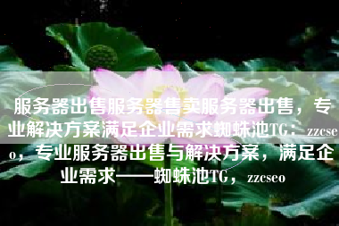 服务器出售服务器售卖服务器出售，专业解决方案满足企业需求蜘蛛池TG：zzcseo，专业服务器出售与解决方案，满足企业需求——蜘蛛池TG，zzcseo