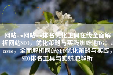 网站seo网站seo排名优化工具在线全面解析网站SEO，优化策略与实践蜘蛛池TG：zzcseo，全面解析网站SEO优化策略与实践，SEO排名工具与蜘蛛池解析