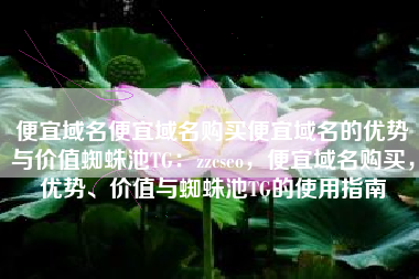 便宜域名便宜域名购买便宜域名的优势与价值蜘蛛池TG：zzcseo，便宜域名购买，优势、价值与蜘蛛池TG的使用指南