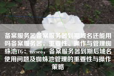 备案服务器备案服务器到期域名还能用吗备案服务器，重要性、操作与管理蜘蛛池TG：zzcseo，备案服务器到期后域名使用问题及蜘蛛池管理的重要性与操作策略