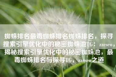 蜘蛛排名最毒蜘蛛排名蜘蛛排名，探寻搜索引擎优化中的秘密蜘蛛池TG：zzcseo，揭秘搜索引擎优化中的秘密蜘蛛池，最毒蜘蛛排名与探寻TG，zzcseo之道