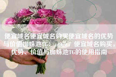 便宜域名便宜域名购买便宜域名的优势与价值蜘蛛池TG：zzcseo，便宜域名购买，优势、价值与蜘蛛池TG的使用指南