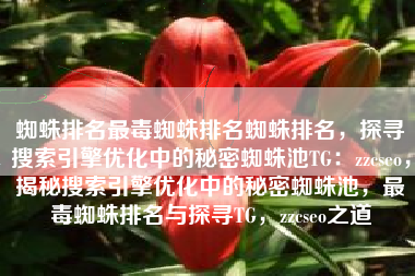 蜘蛛排名最毒蜘蛛排名蜘蛛排名，探寻搜索引擎优化中的秘密蜘蛛池TG：zzcseo，揭秘搜索引擎优化中的秘密蜘蛛池，最毒蜘蛛排名与探寻TG，zzcseo之道