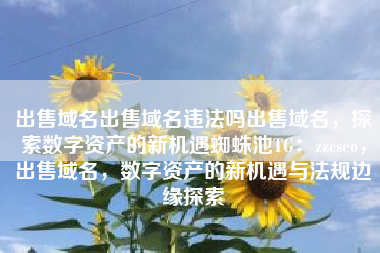 出售域名出售域名违法吗出售域名，探索数字资产的新机遇蜘蛛池TG：zzcseo，出售域名，数字资产的新机遇与法规边缘探索