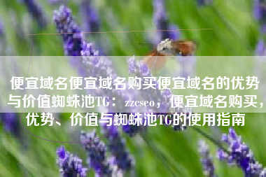 便宜域名便宜域名购买便宜域名的优势与价值蜘蛛池TG：zzcseo，便宜域名购买，优势、价值与蜘蛛池TG的使用指南