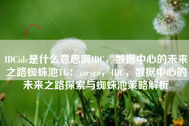 IDCidc是什么意思啊IDC，数据中心的未来之路蜘蛛池TG：zzcseo，IDC，数据中心的未来之路探索与蜘蛛池策略解析