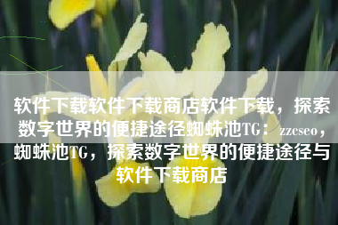 软件下载软件下载商店软件下载，探索数字世界的便捷途径蜘蛛池TG：zzcseo，蜘蛛池TG，探索数字世界的便捷途径与软件下载商店