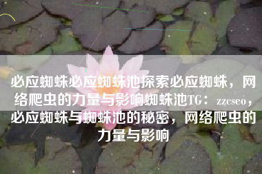 必应蜘蛛必应蜘蛛池探索必应蜘蛛，网络爬虫的力量与影响蜘蛛池TG：zzcseo，必应蜘蛛与蜘蛛池的秘密，网络爬虫的力量与影响