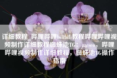 详细教程_哔哩哔哩bilibili教程哔哩哔哩视频制作详细教程蜘蛛池TG：zzcseo，哔哩哔哩视频制作详细教程，蜘蛛池TG操作指南