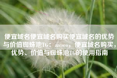 便宜域名便宜域名购买便宜域名的优势与价值蜘蛛池TG：zzcseo，便宜域名购买，优势、价值与蜘蛛池TG的使用指南