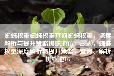 蜘蛛权重蜘蛛权重查询蜘蛛权重，深度解析与提升策略蜘蛛池TG：zzcseo，蜘蛛权重深度解析与提升策略，查询、解析蜘蛛池TG