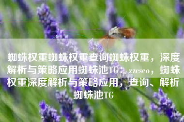 蜘蛛权重蜘蛛权重查询蜘蛛权重，深度解析与策略应用蜘蛛池TG：zzcseo，蜘蛛权重深度解析与策略应用，查询、解析蜘蛛池TG