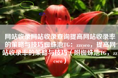 网站收录网站收录查询提高网站收录率的策略与技巧蜘蛛池TG：zzcseo，提高网站收录率的策略与技巧（附蜘蛛池TG，zzcseo）