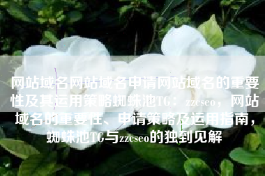 网站域名网站域名申请网站域名的重要性及其运用策略蜘蛛池TG：zzcseo，网站域名的重要性、申请策略及运用指南，蜘蛛池TG与zzcseo的独到见解