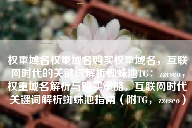 权重域名权重域名购买权重域名，互联网时代的关键词解析蜘蛛池TG：zzcseo，权重域名解析与购买策略，互联网时代关键词解析蜘蛛池指南（附TG，zzcseo）