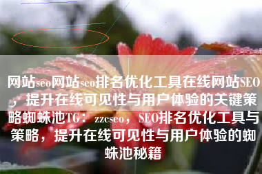网站seo网站seo排名优化工具在线网站SEO，提升在线可见性与用户体验的关键策略蜘蛛池TG：zzcseo，SEO排名优化工具与策略，提升在线可见性与用户体验的蜘蛛池秘籍