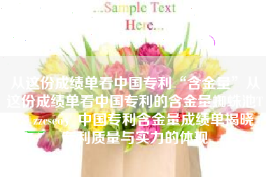从这份成绩单看中国专利“含金量”从这份成绩单看中国专利的含金量蜘蛛池TG：zzcseo，中国专利含金量成绩单揭晓，专利质量与实力的体现