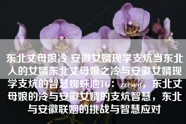 东北丈母娘冷 安徽女婿现学支炕当东北人的女婿东北丈母娘之冷与安徽女婿现学支炕的智慧蜘蛛池TG：zzcseo，东北丈母娘的冷与安徽女婿的支炕智慧，东北与安徽联姻的挑战与智慧应对