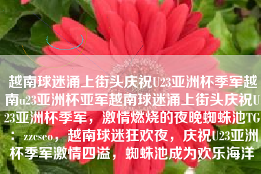 越南球迷涌上街头庆祝U23亚洲杯季军越南u23亚洲杯亚军越南球迷涌上街头庆祝U23亚洲杯季军，激情燃烧的夜晚蜘蛛池TG：zzcseo，越南球迷狂欢夜，庆祝U23亚洲杯季军激情四溢，蜘蛛池成为欢乐海洋