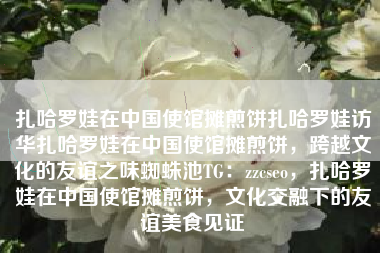 扎哈罗娃在中国使馆摊煎饼扎哈罗娃访华扎哈罗娃在中国使馆摊煎饼，跨越文化的友谊之味蜘蛛池TG：zzcseo，扎哈罗娃在中国使馆摊煎饼，文化交融下的友谊美食见证