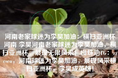 河南老家球迷为李昊加油：横扫亚洲杯河南 李昊河南老家球迷为李昊加油，横扫亚洲杯，展现无限风采！蜘蛛池TG：zzcseo，河南球迷为李昊加油，展现风采横扫亚洲杯，李昊成英雄！