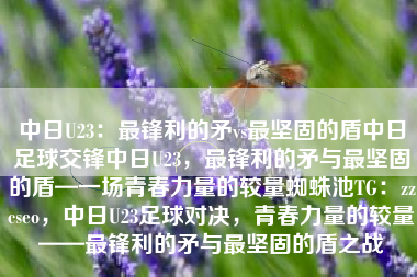 中日U23：最锋利的矛vs最坚固的盾中日足球交锋中日U23，最锋利的矛与最坚固的盾—一场青春力量的较量蜘蛛池TG：zzcseo，中日U23足球对决，青春力量的较量——最锋利的矛与最坚固的盾之战
