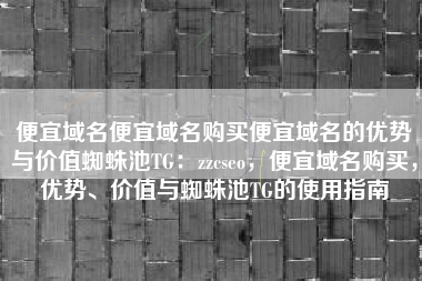 便宜域名便宜域名购买便宜域名的优势与价值蜘蛛池TG：zzcseo，便宜域名购买，优势、价值与蜘蛛池TG的使用指南