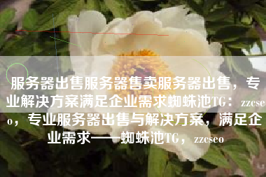 服务器出售服务器售卖服务器出售，专业解决方案满足企业需求蜘蛛池TG：zzcseo，专业服务器出售与解决方案，满足企业需求——蜘蛛池TG，zzcseo