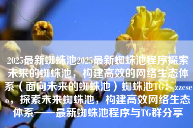 2025最新蜘蛛池2025最新蜘蛛池程序探索未来的蜘蛛池，构建高效的网络生态体系（面向未来的蜘蛛池）蜘蛛池TG：zzcseo，探索未来蜘蛛池，构建高效网络生态体系——最新蜘蛛池程序与TG群分享