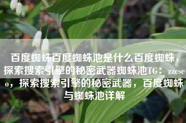 百度蜘蛛百度蜘蛛池是什么百度蜘蛛，探索搜索引擎的秘密武器蜘蛛池TG：zzcseo，探索搜索引擎的秘密武器，百度蜘蛛与蜘蛛池详解