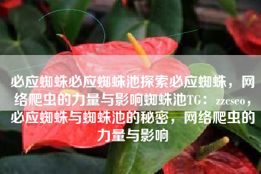 必应蜘蛛必应蜘蛛池探索必应蜘蛛，网络爬虫的力量与影响蜘蛛池TG：zzcseo，必应蜘蛛与蜘蛛池的秘密，网络爬虫的力量与影响