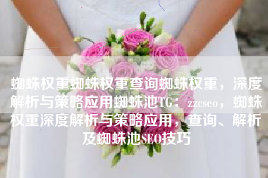 蜘蛛权重蜘蛛权重查询蜘蛛权重，深度解析与策略应用蜘蛛池TG：zzcseo，蜘蛛权重深度解析与策略应用，查询、解析及蜘蛛池SEO技巧