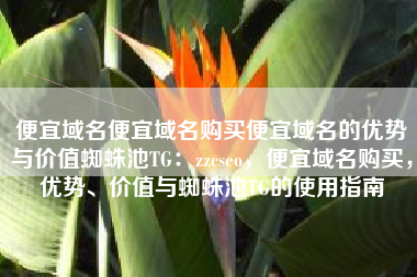 便宜域名便宜域名购买便宜域名的优势与价值蜘蛛池TG：zzcseo，便宜域名购买，优势、价值与蜘蛛池TG的使用指南